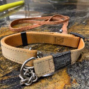 ROGZ dog collar with leash